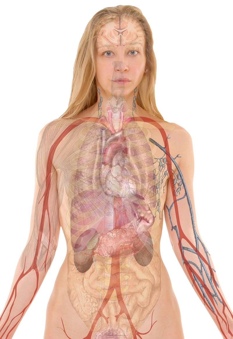 Body scan meditation